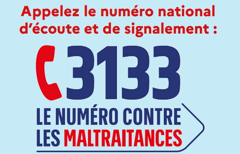 3133 Maltraitances